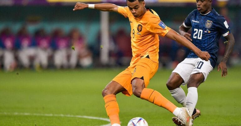 Progress expected in the future of Netherlands star Cody Gakpo as top European sides to open discussions with representation