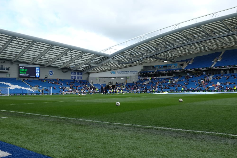 Brighton 1-0 Aston Villa: Seagulls claim all three points through late Pedro strike