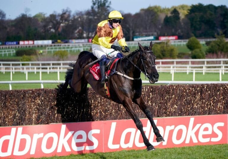 Cheltenham Festival 2025: Galopin Des Champs and Constitution Hill headline all-star cast