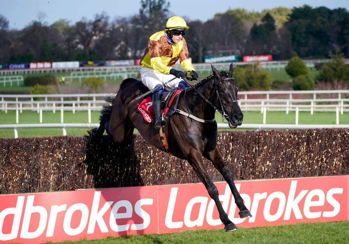 Cheltenham Festival 2025: Galopin Des Champs and Constitution Hill headline all-star cast