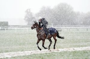 Cheltenham covered in snow as day two of the Festival gets off to a wintery start
