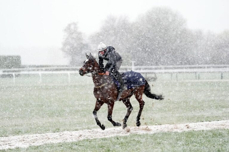 Cheltenham covered in snow as day two of the Festival gets off to a wintery start