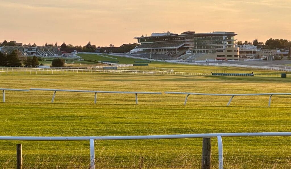 Cheltenham results: Gold Cup glory for Inothewayurthinkin after 100/1 shot Poniros wins at 2025 races