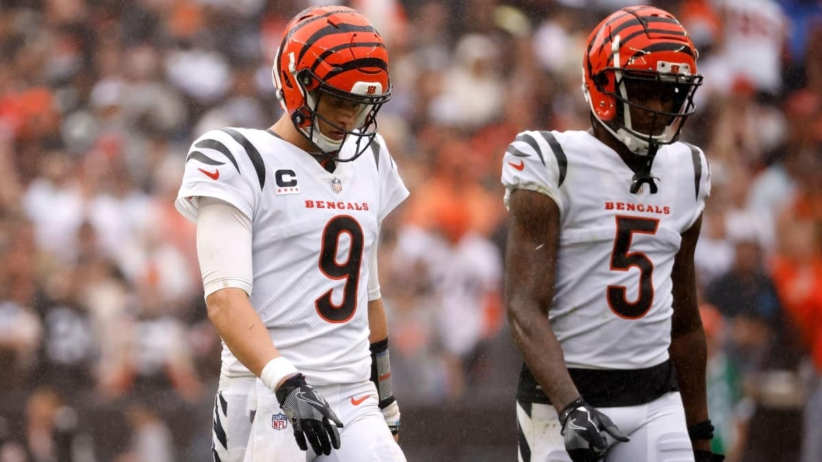 NFL: Joe Burrow hopeful Bengals can retain Tee Higgins next season